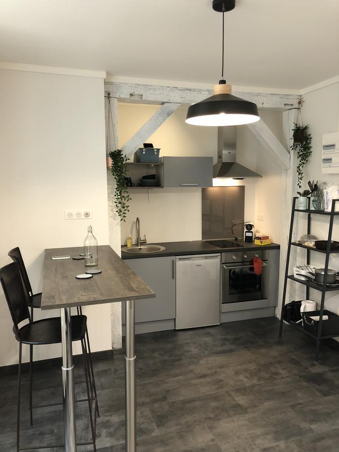 Hypercentre Orleans Apartment Ngoại thất bức ảnh